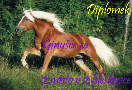Obrazek