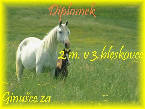 Obrazek