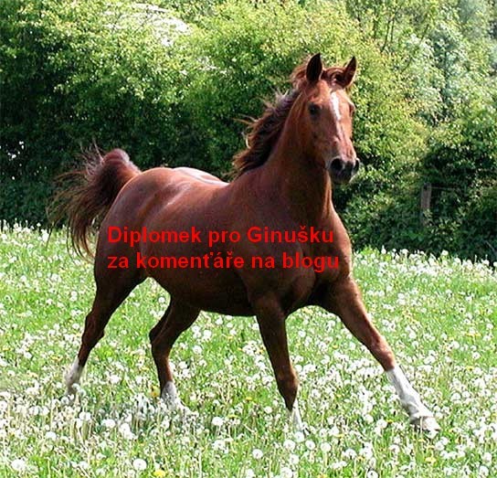 Obrazek