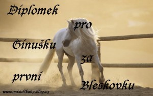 Obrazek